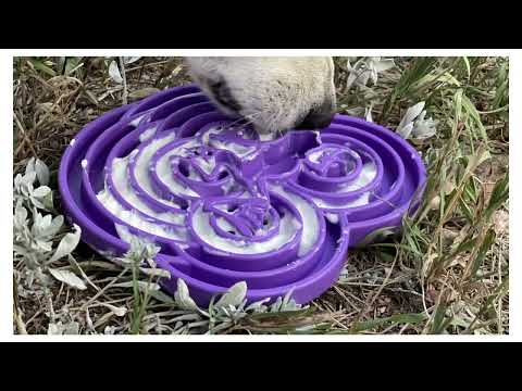 eTray Enrichment Slow Feeder Tray - Bullfrog Edition - Assorted Colors