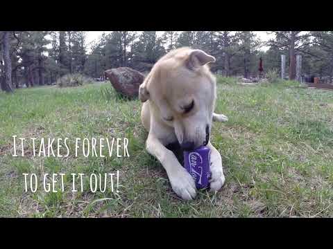 Small Dog Durable Rubber Chew + Treat Dispensing Toy