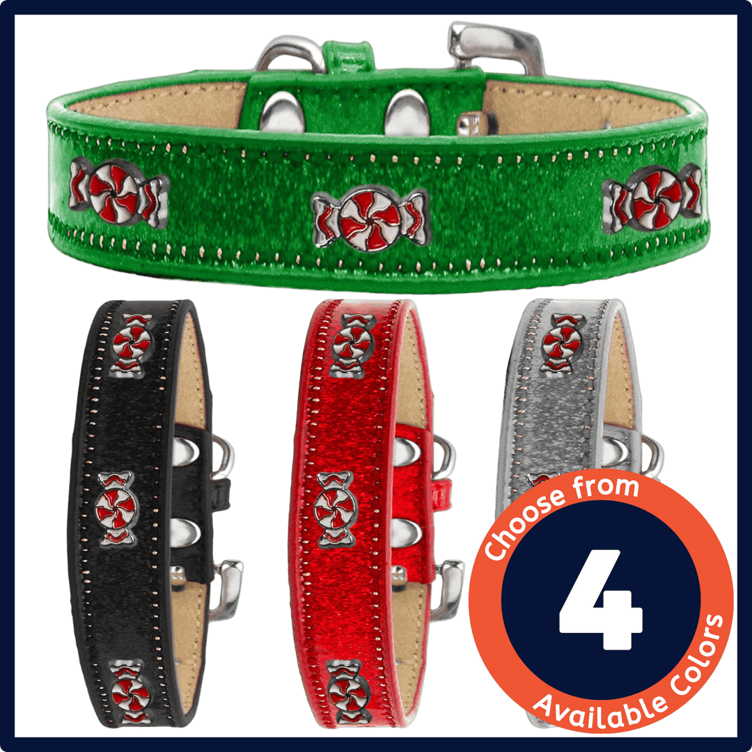 Christmas Collection - USA Made Icy Glitter Widget Collar - Peppermint